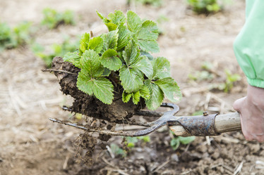 Similar image 11504706