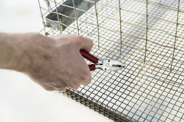 Similar image 11504707