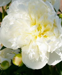 Similar image 11506308