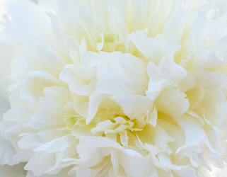 Similar image 11506310