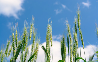 Similar image 11506326