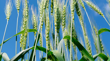 Similar image 11506327