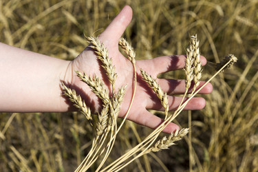 Similar image 11507103