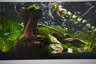 Similar image 11506378