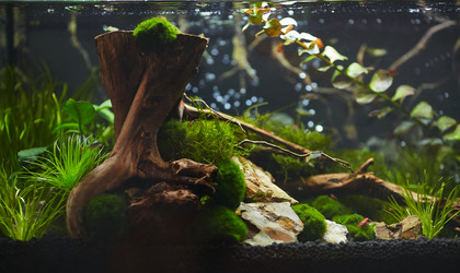 Similar image 11506379