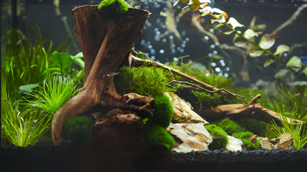 Similar image 11504665