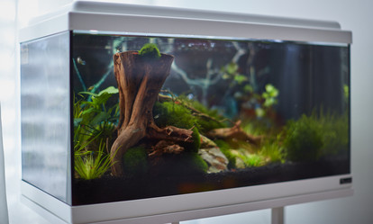 Similar image 11504666