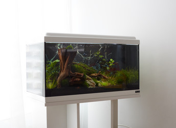 Similar image 11504667