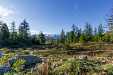 Similar image 11504787