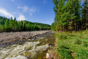 Similar image 11504789