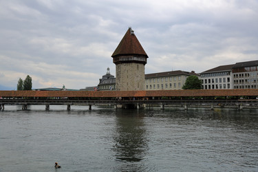 Similar image 11506279