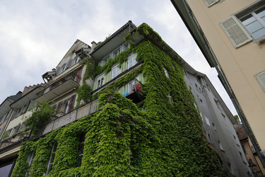 Similar image 11506298