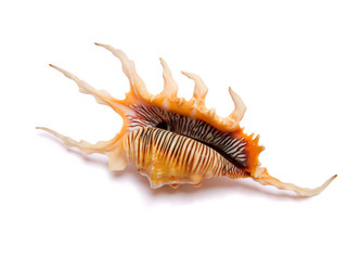 Similar image 11507757