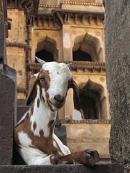 Similar image 11507758