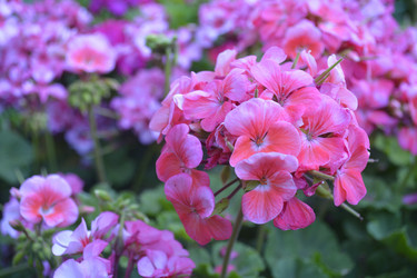 Similar image 11506212