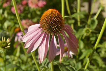 Similar image 11506213