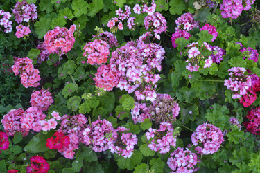 Similar image 11506214