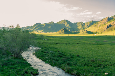 Similar image 11507261