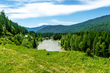 Similar image 11507262