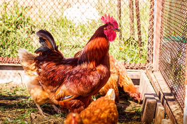 Similar image 11506303