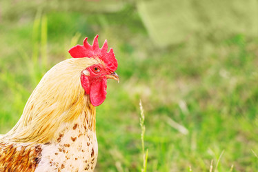 Similar image 11506305