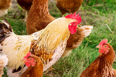 Similar image 11506306