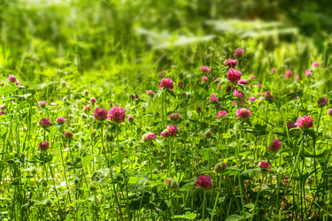 Similar image 11506314