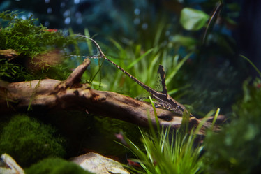 Similar image 11506382