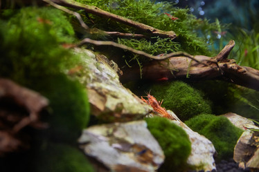 Similar image 11506383