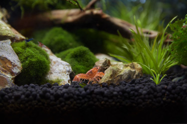 Similar image 11506384