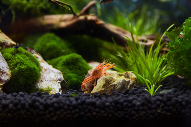 Similar image 11506283