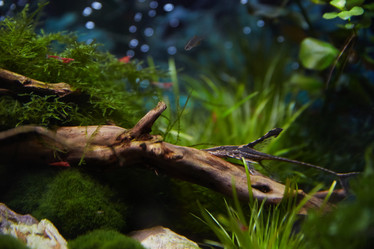 Similar image 11506286