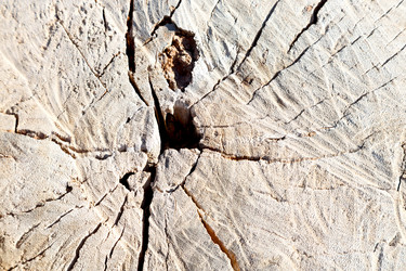 Similar image 11507863