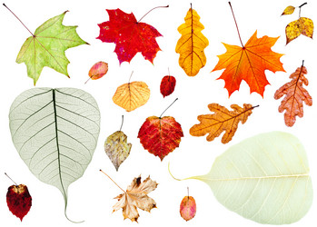 Similar image 11507772