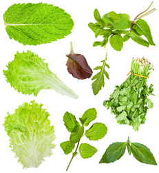 Similar image 11507773