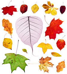 Similar image 11507776