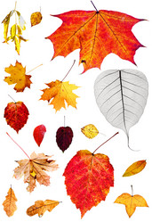 Similar image 11507777