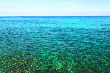 Similar image 11507866