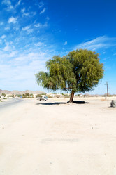 Similar image 11507867