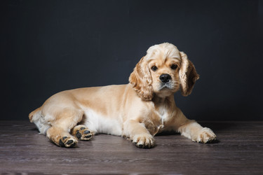 Similar image 11507797