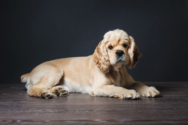 Similar image 11507798