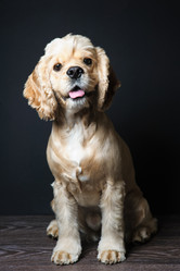 Similar image 11507800