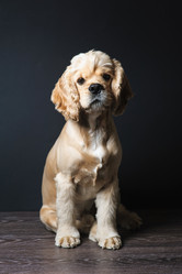 Similar image 11507802