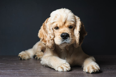 Similar image 11506985