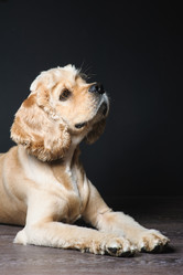 Similar image 11507122