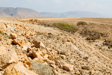 Similar image 11507883