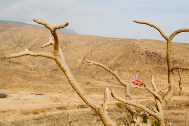 Similar image 11507845