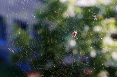 Similar image 11507740