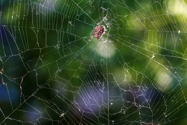 Similar image 11507741