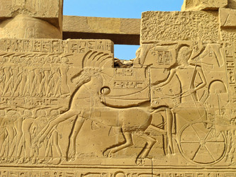 Similar image 11507784